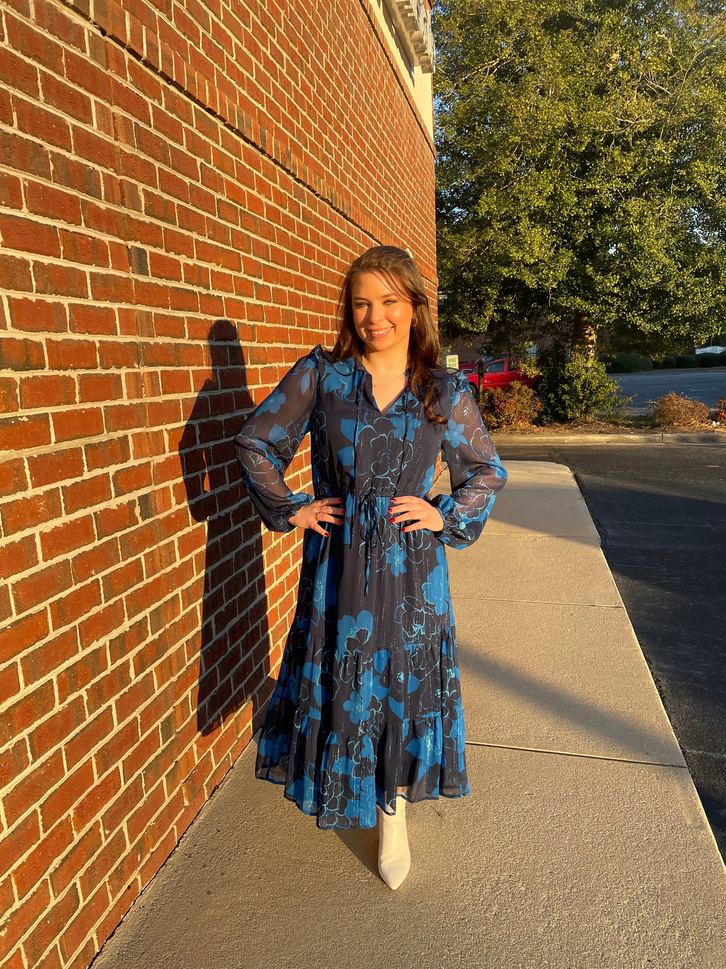 Bluford Dress