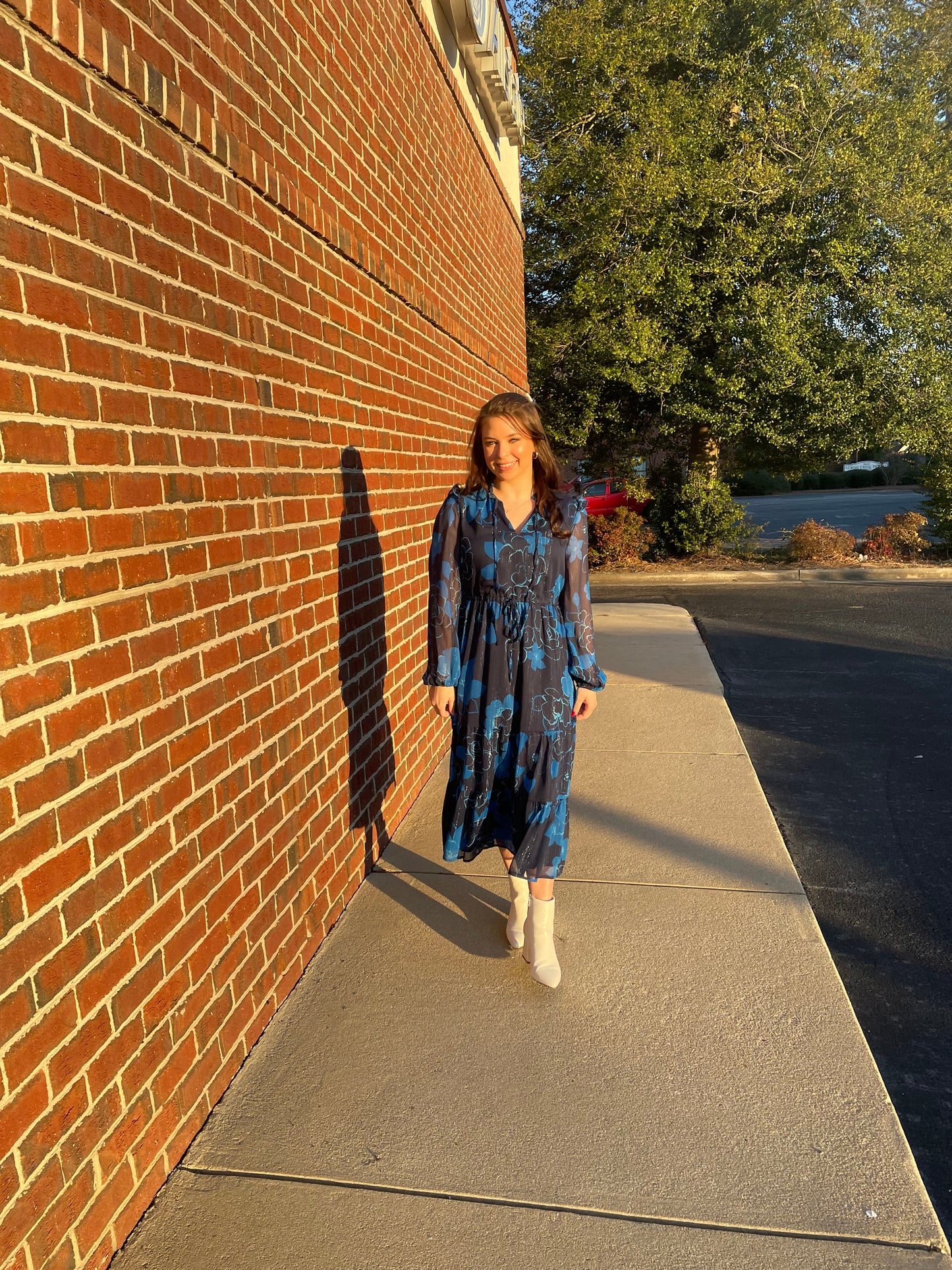 Bluford Dress