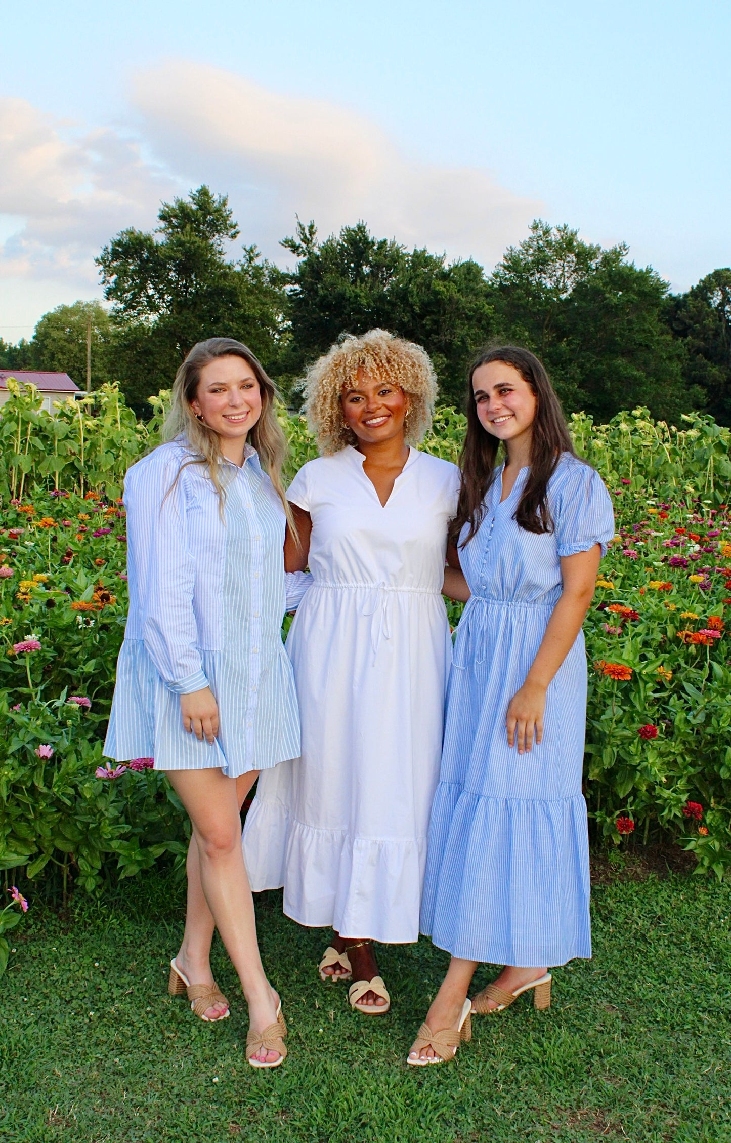 Willow Dust Dress